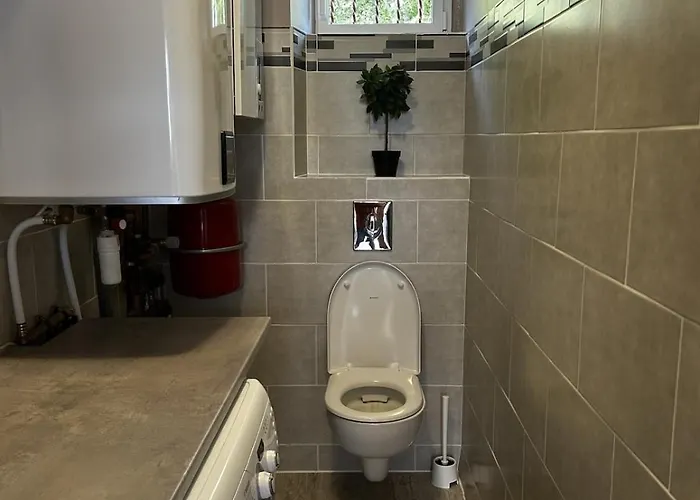 Дом отдыха Sancy , 3 Etoiles Confort Сен-Нектер